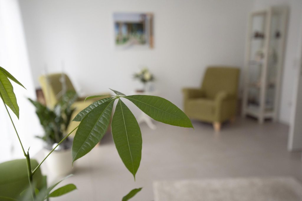 Grünes Blatt im Wohnzimmer
